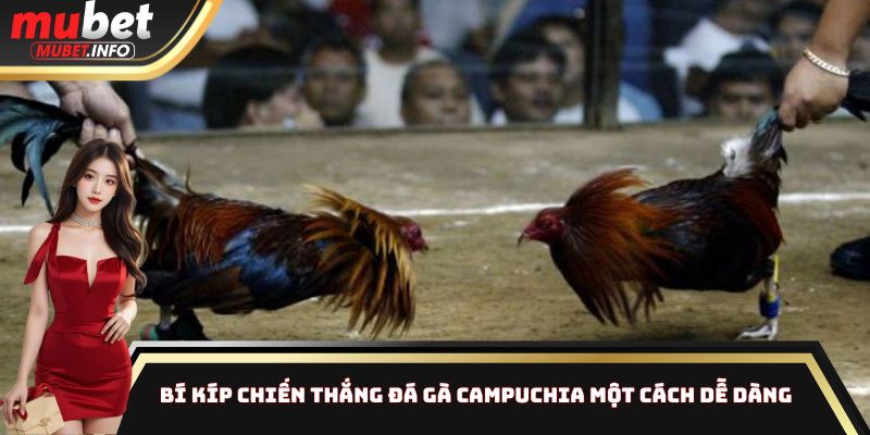 Bí kíp chiến thắng đá gà Campuchia một cách dễ dàng