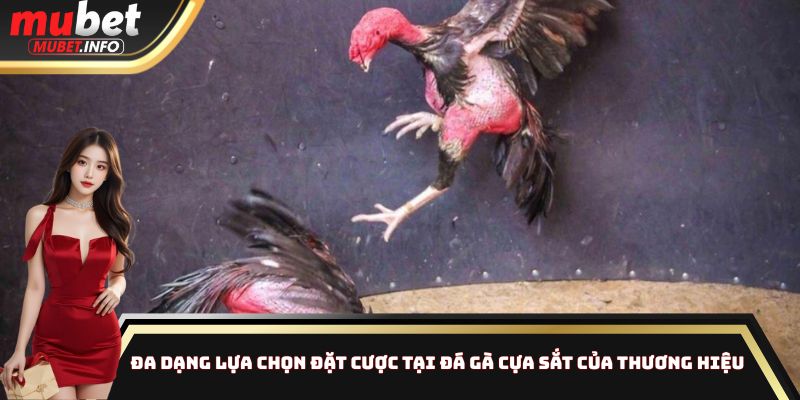 Đa dạng lựa chọn đặt cược tại đá gà cựa sắt của thương hiệu