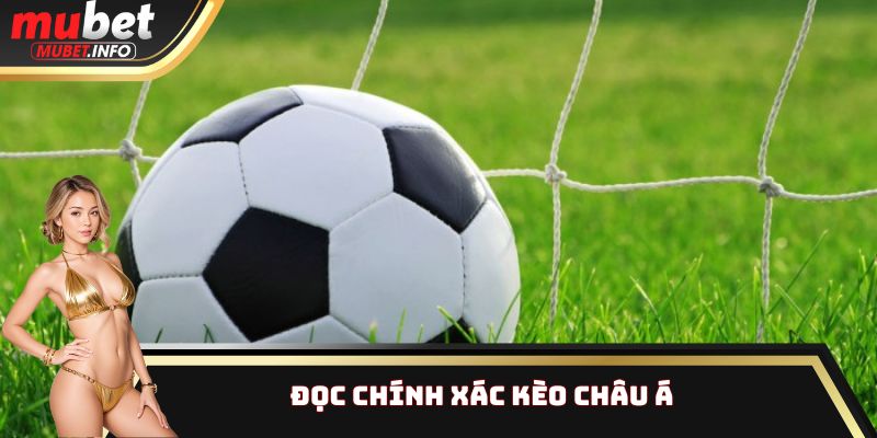 Đọc chính xác kèo Châu Á