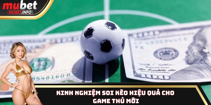 Kinh nghiệm soi kèo hiệu quả cho game thủ mới