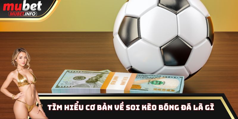 Tìm hiểu cơ bản về soi kèo bóng đá là gì