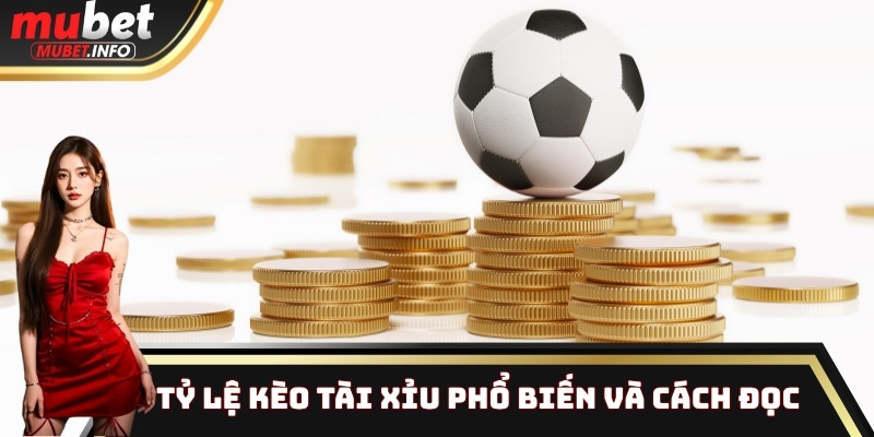 Tỷ lệ kèo tài xỉu phổ biến và cách đọc