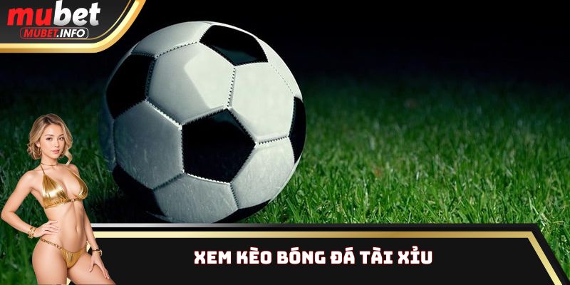 Xem kèo bóng đá tài xỉu